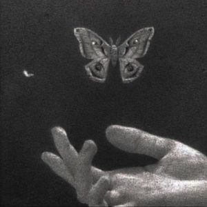 Meet your Posher, Jade